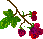 fr002b.gif (1303 バイト)